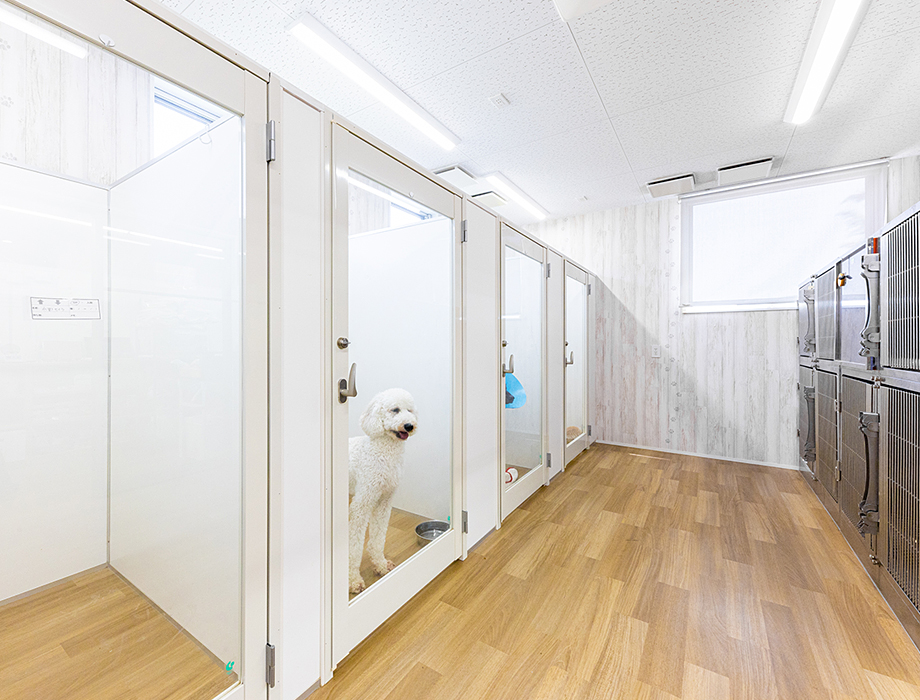 犬入院室