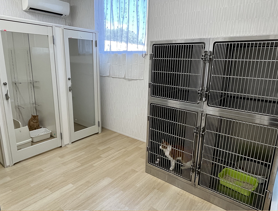 猫入院室