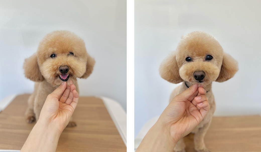 ビフォーアフター